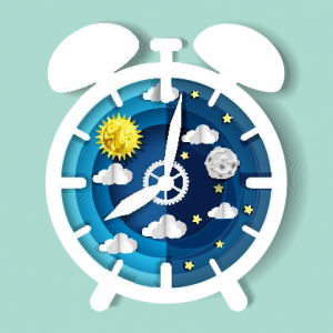 4. The sleeping rythm